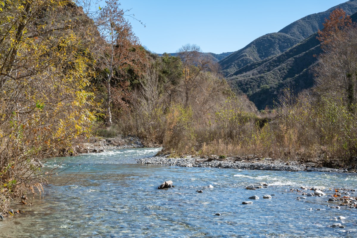A button that leads to a section titled “Managing water into the future.”  The thumbnail pictures a small child playing in the ocean and wearing duck floaties 